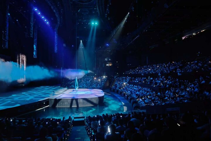 Sense-sational Wuhan (Visita guiada / Tour privado / City Tour)
