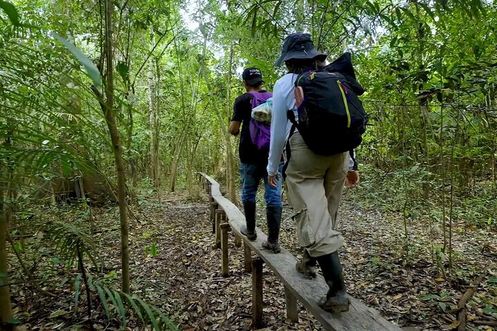 Leticia Safari 2 dias e 1 noite em barco-casa na selva e no rio