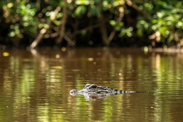 Leticia Safari 2 dias e 1 noite em barco-casa na selva e no rio