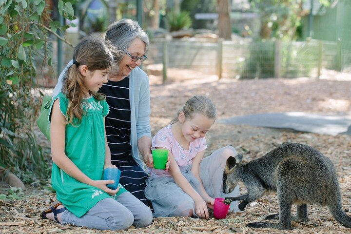 Hoteller i nærheden af Blue Mountains Scenic World & Scenic Zoo Day Tour