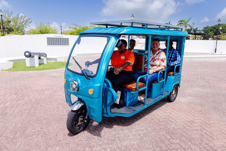 Belize City All Inclusive Tour voor cruiseschipreizigers