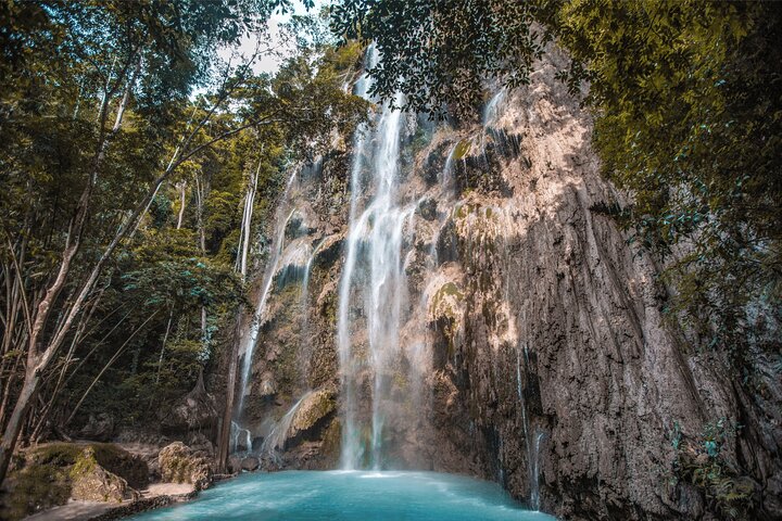 Cebu: Oslob Whale Sharks, Tumalog Falls & Moalboal Sardine Run