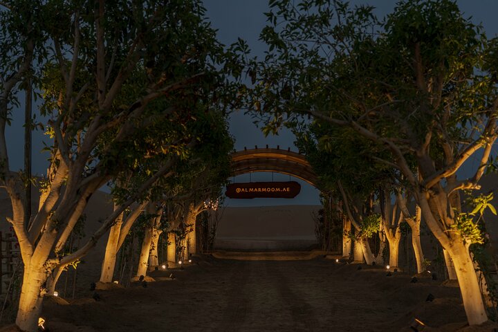 Dubai Self-Drive Quad Bike, Camels, Stargazing & 5* BBQ Al Khayma
