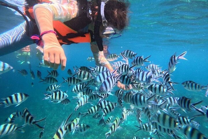 Koh Samui: Parco Nazionale Marino di Angthong 42 - Tour in motoscafo dell'isola