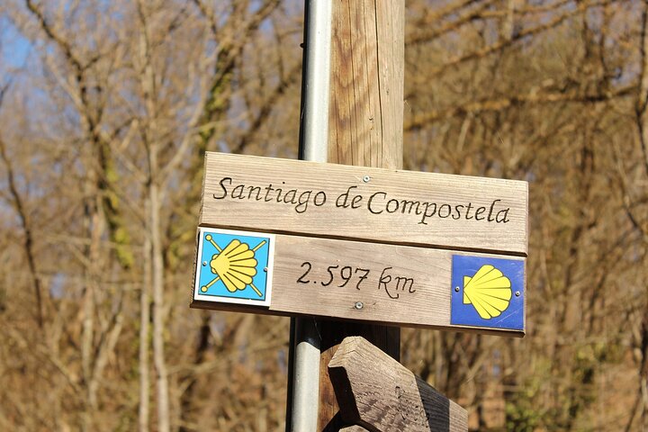 Vigo Santiago de Compostela udflugt med guide