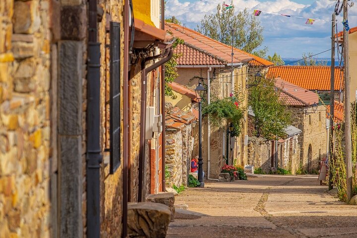Vigo Santiago de Compostela udflugt med guide