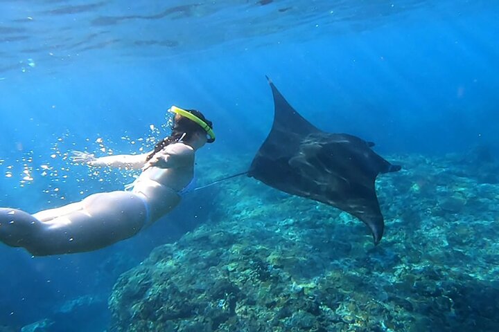 Journée complète Nusa Penida Island avec plongée au départ de Bali