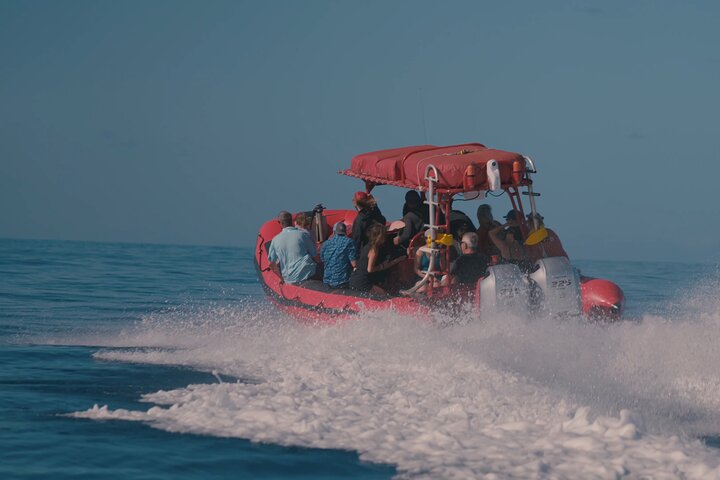 2 - Heure Molokini Voyage garanti avec tuba au départ de Maui