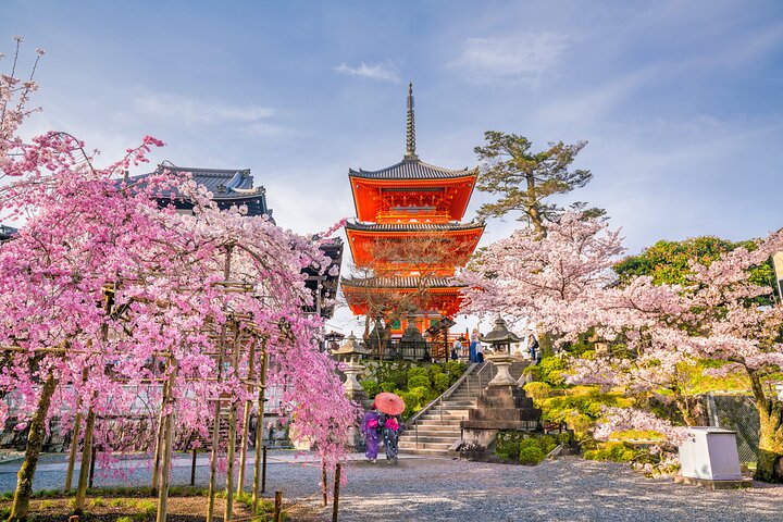 Visite de Kyoto et Nara en petit groupe au départ d'Osaka