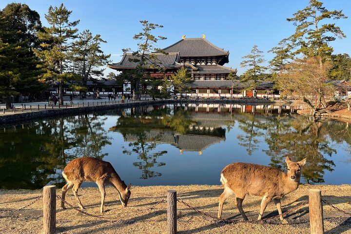 Visite de Kyoto et Nara en petit groupe au départ d'Osaka