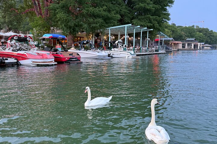 1 uur Lake Austin Boat Cruise. BYOB (Gedeeld - Enkele Tickets)