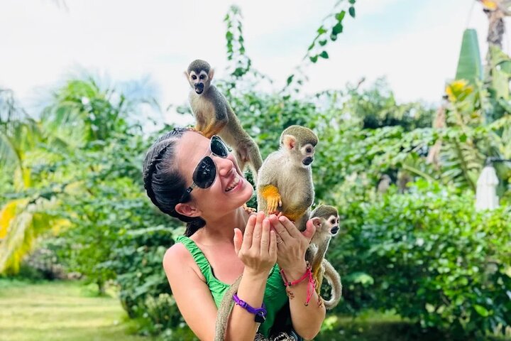 3x1: Monkeyland Waterfalls and Buggy Tour Puerto Plata