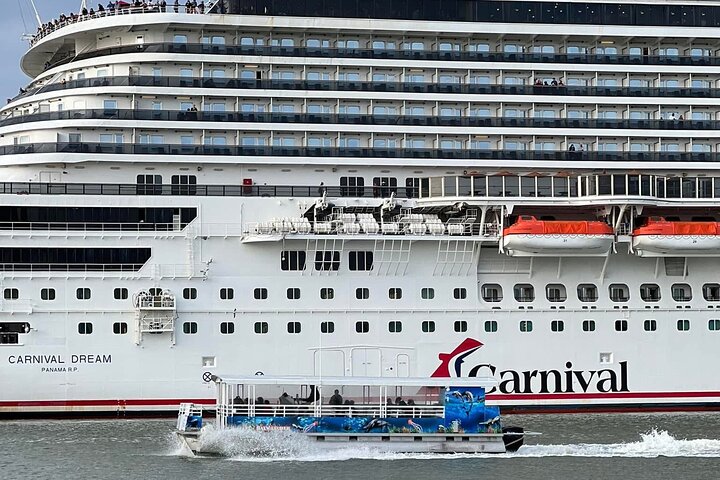 Crucero histórico por el puerto de Galveston con delfines