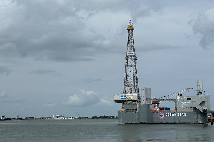 Crucero histórico por el puerto de Galveston con delfines