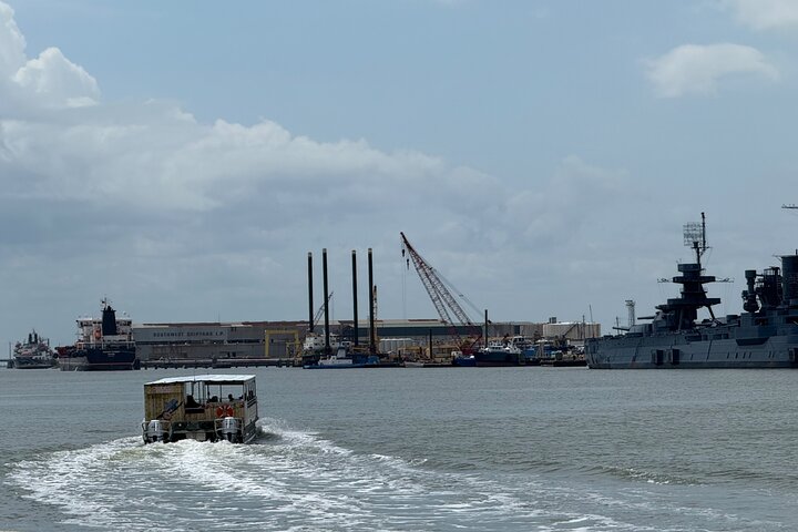 Crucero histórico por el puerto de Galveston con delfines