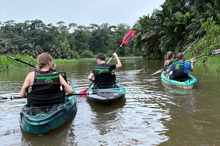 Tortuguero kajakk-eventyr