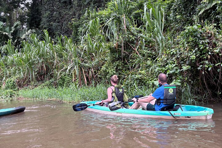 Tortuguero kajakk-eventyr