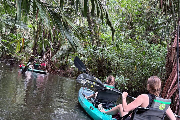 Tortuguero kajakk-eventyr
