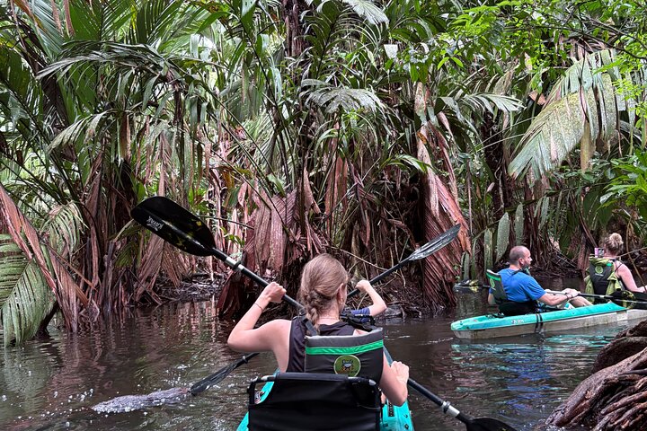 Tortuguero kajakk-eventyr