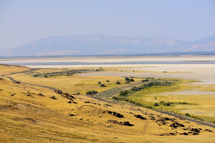Antelope Island Wildlife Expeditie Geweldig Salt Lake Avontuur