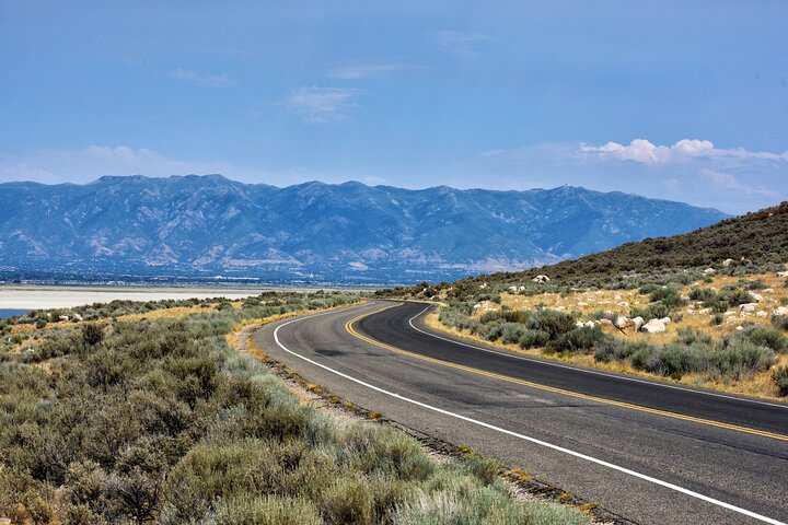 Antelope Island Wildlife Expeditie Geweldig Salt Lake Avontuur
