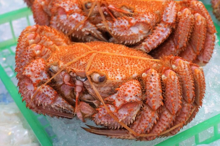 Hakodate: Excursão de manhã ao mercado com opções de degustação de frutos do mar