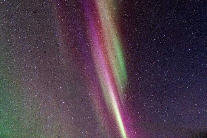 Tromsø: Aventura das luzes do norte com guias Especialistas e fotos
