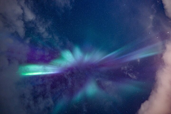 Tromsø: Aventura das luzes do norte com guias Especialistas e fotos
