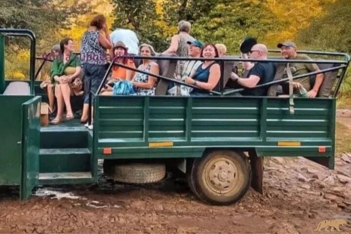 Safari della tigre nel parco nazionale di Ranthambore | Canter Opzioni