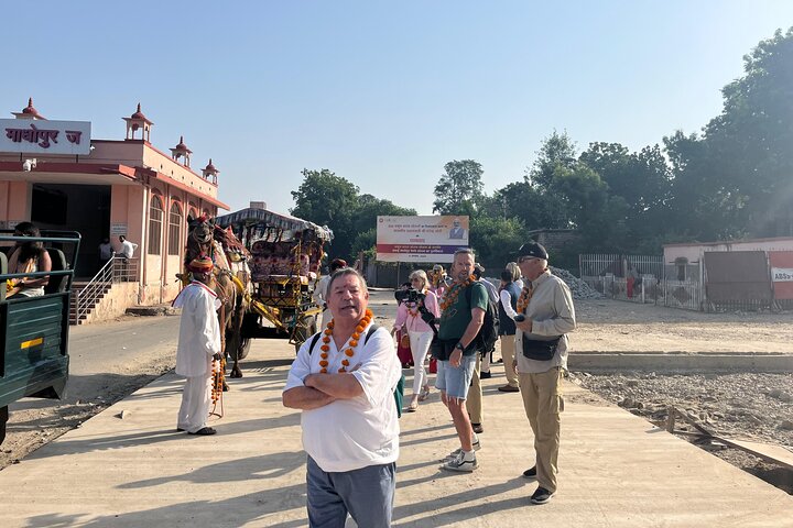 Safari della tigre nel parco nazionale di Ranthambore | Canter Opzioni