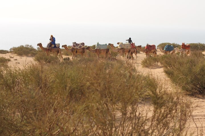 Agadir/Taghazout: Sunset Sandboarding Quad Bike & Marokkansk Middag