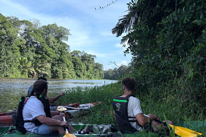 Tortuguero kajakk-eventyr