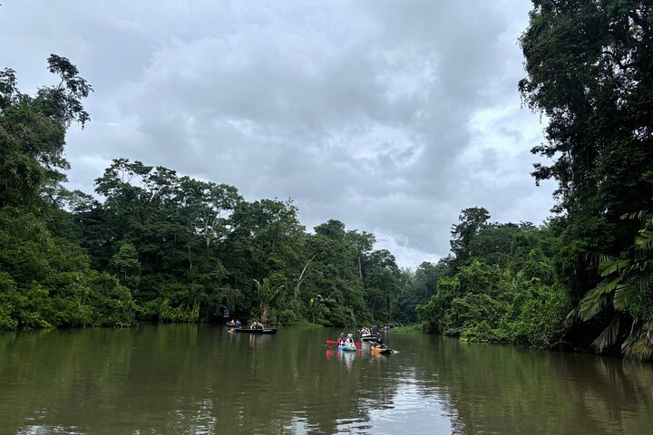 Tortuguero kajakk-eventyr