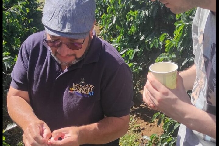 Expérience d'une journée complète sur le volcan Poas, les jardins de la cascade de La Paz et la plantation de café