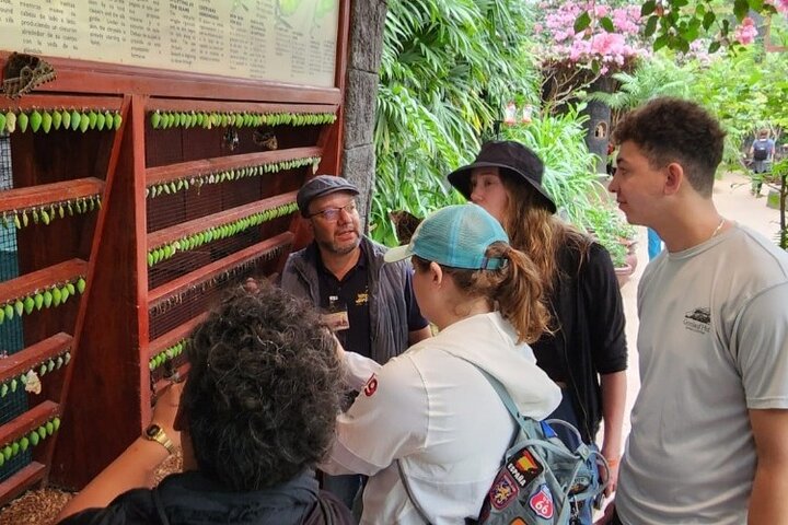 Expérience d'une journée complète sur le volcan Poas, les jardins de la cascade de La Paz et la plantation de café