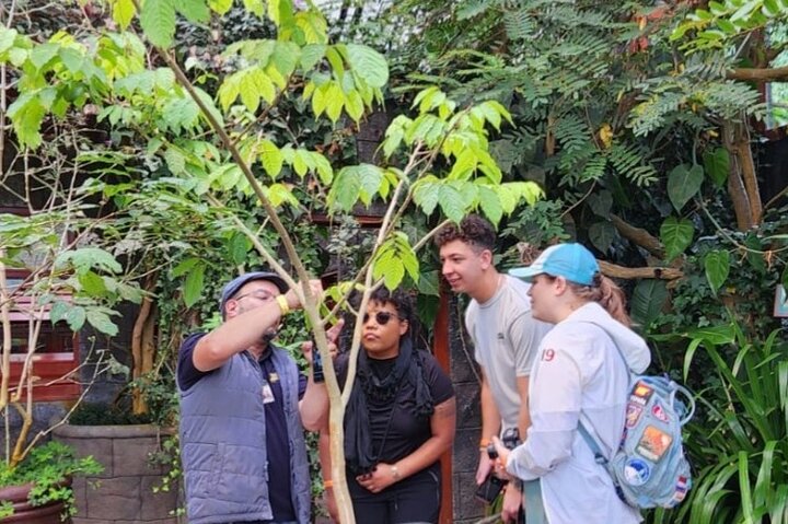 Expérience d'une journée complète sur le volcan Poas, les jardins de la cascade de La Paz et la plantation de café
