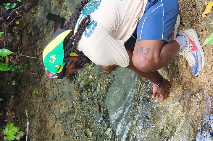 Tour en safari por la selva desde Montego Bay