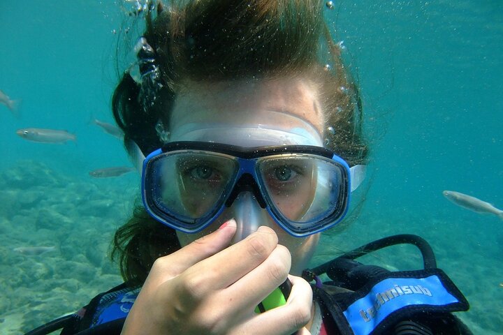 Hoteller i nærheden af Ras Mohammed & White Island, Lunch & Snorkel