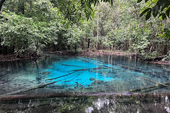 Krabi: Tiger Cave, Emerald Pool og Hot Springs lille gruppe tur