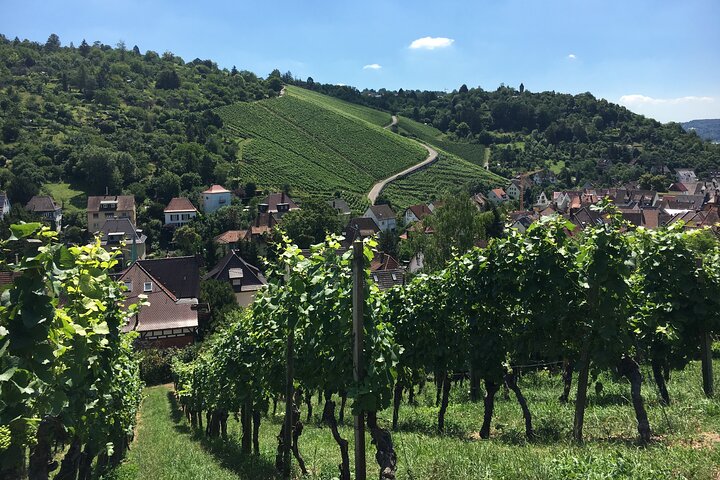 Privé Stuttgart City Tour met Gelicentieerde Gids en Driver Gids