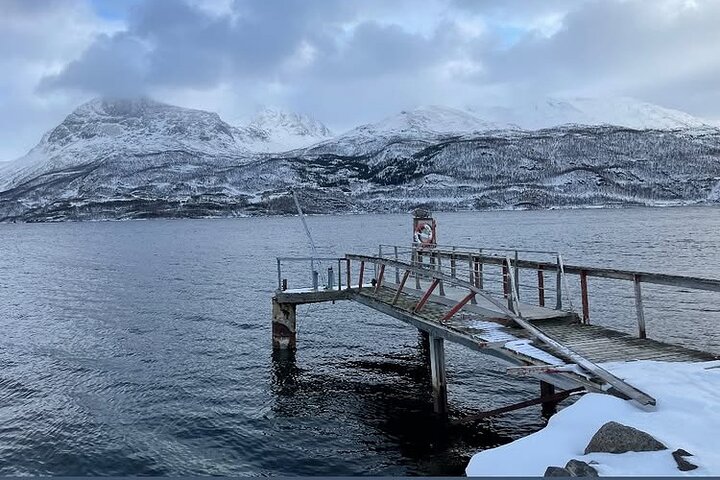 Vanuit Kiruna : Dagtrip naar Narvik City en Fjord