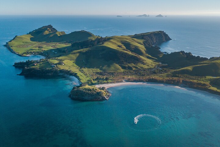 Coromandel äventyr och vilda djur båttur till Aldermen Islands