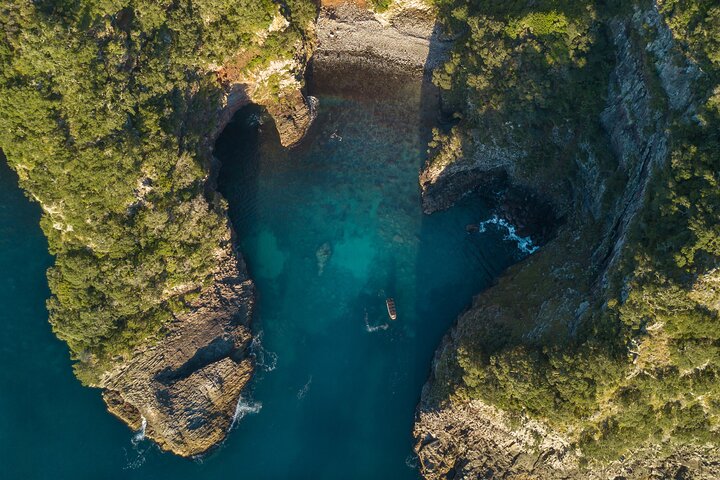 Coromandel äventyr och vilda djur båttur till Aldermen Islands