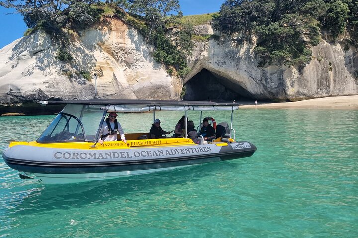 Cathedral Cove Tour guidato di 2 ore Esplora le meraviglie marine