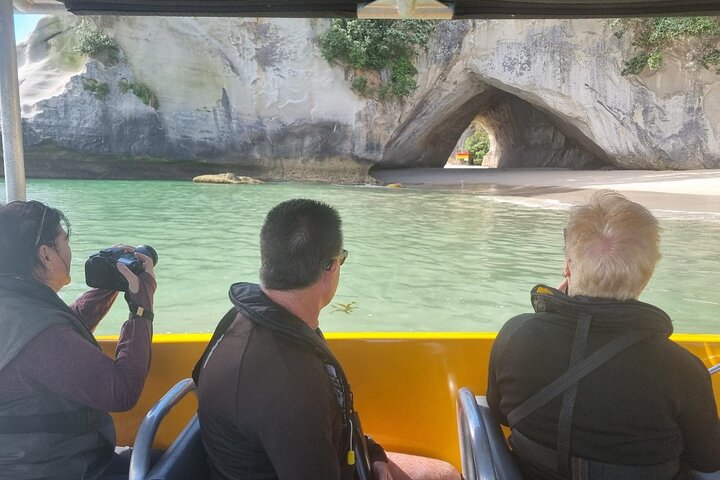 Cathedral Cove Tour guidato di 2 ore Esplora le meraviglie marine