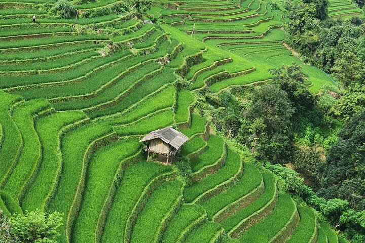 Tour de moto de 2 dias em Mu Cang Chai com Homestay Experience