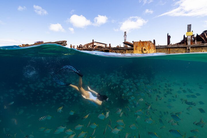 Moreton Island & Tangalooma Wrecks snorkelcruise - Brisbane