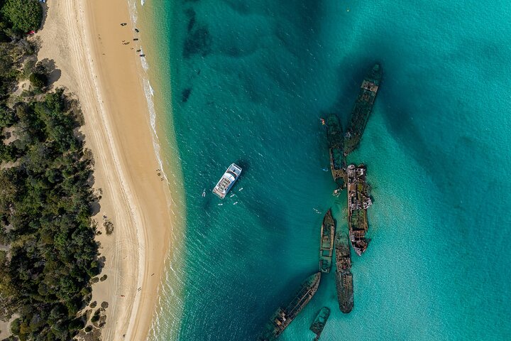 Moreton Island & Tangalooma Wrecks snorkelcruise - Brisbane