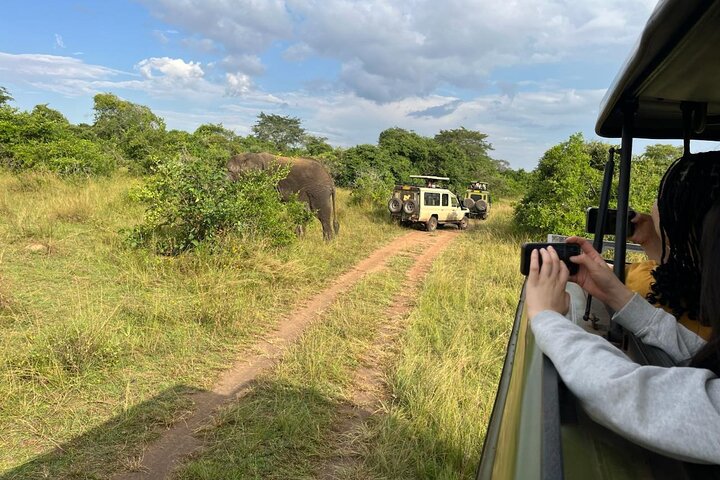 Kigali: Full-Day Akagera Safari + Optional Boat Ride