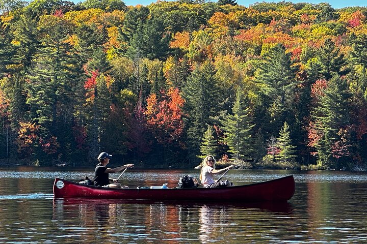 Hoteller i nærheden af Algonquin Park 4 - Day Deluxe Camping & Canoeing Adventure